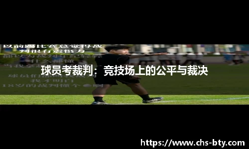 b体育